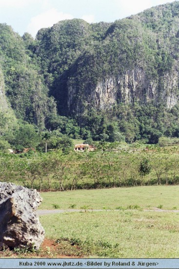 k22412.jpg