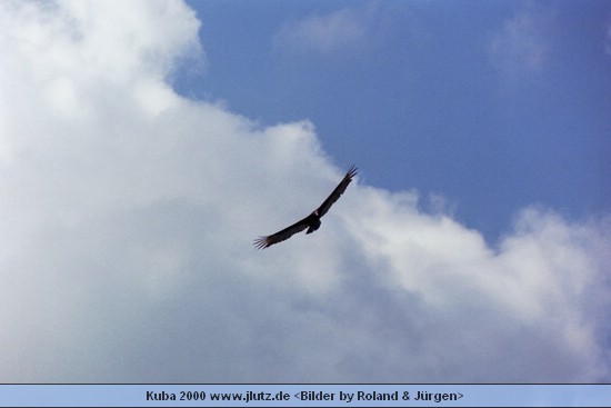 k2288.jpg