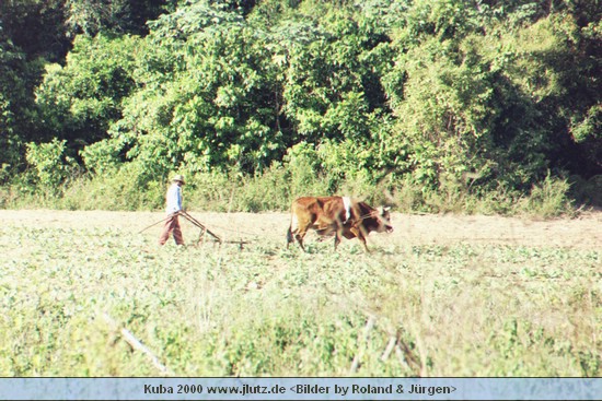 k2342.jpg