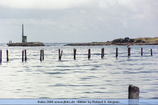 k31620a.jpg