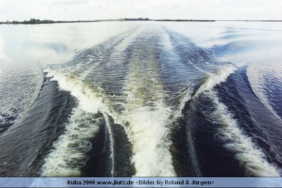 k40234.jpg