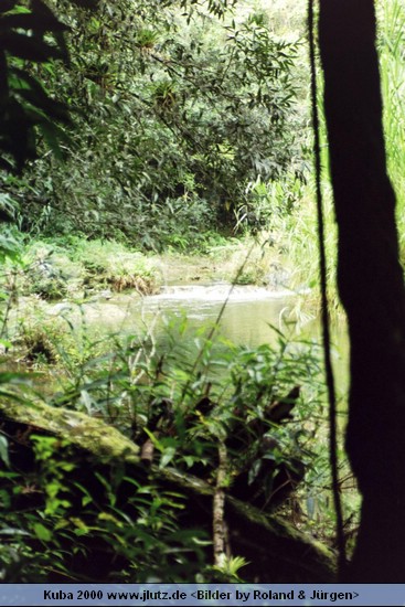 k41818.jpg