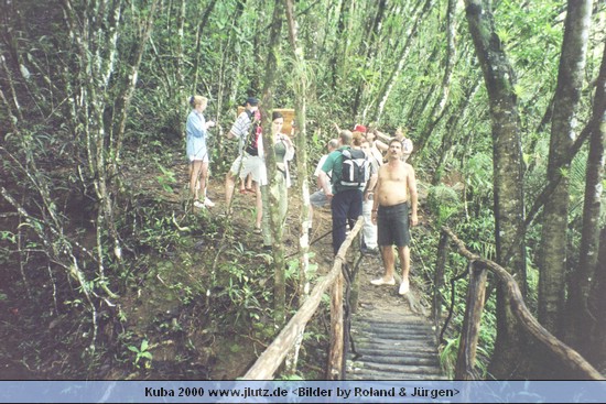 k419a20.jpg