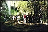 k4324a.jpg