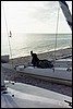 k61323a.jpg