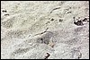 k70927a.jpg