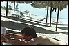 030.JPG