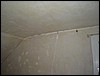 DSC00054.JPG