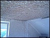DSC00110.JPG