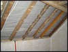 DSC00217.JPG