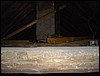 DSC00219.JPG